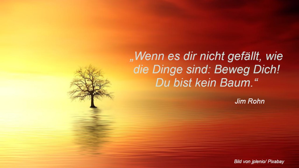 Ein einzelner Baum auf einem Sonnenuntergangsfoto und daneben ein Zitate: Wenn es dir nicht gefällt, wie die Dinge sind: Beweg dich. Du bist kein Baum.