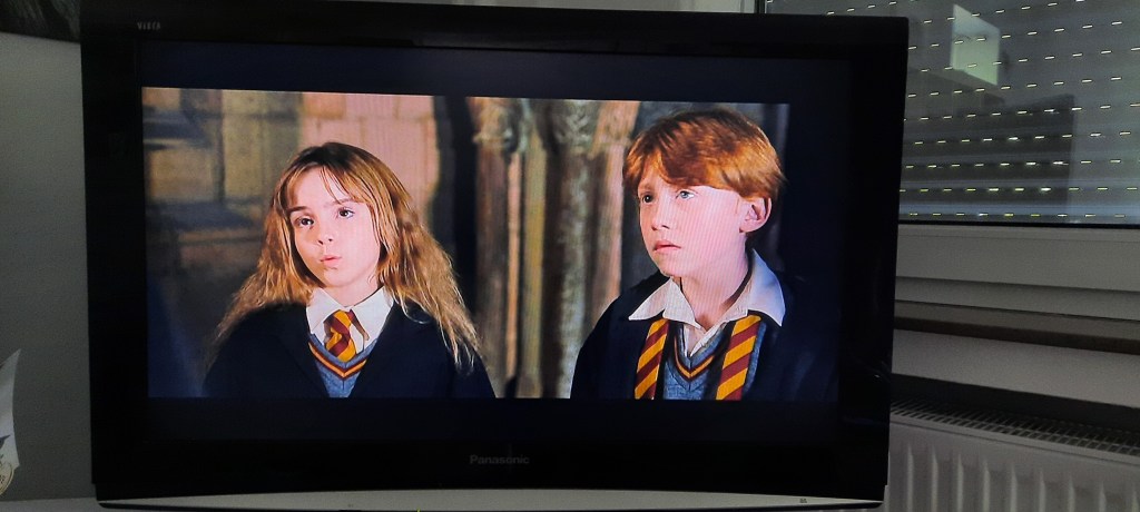 abfotografierte Szene von Harry Potter: Hermine und Ron