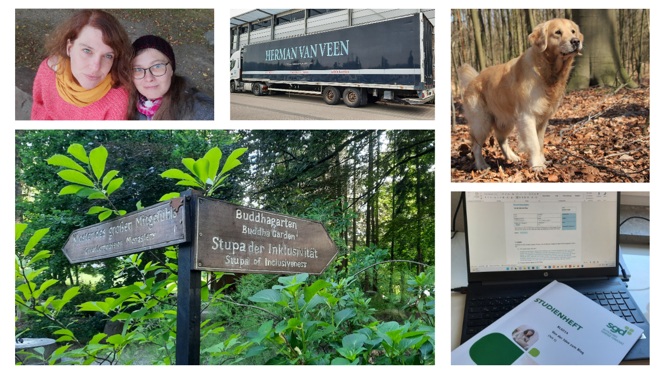 Collage aus 5 Bildern: Obere Reihe von links: Bild mit 2 lächelnden Frauen, LkW mit Herman van Veen Schriftzug; Golden Retriever
Untere Reihe von links: Wegweise in einem Klostergarten; offener Laptop auf dem ein Studienheft liegt
