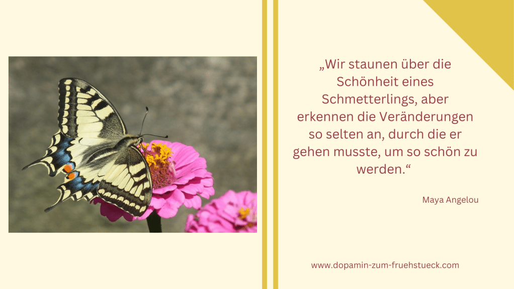 links: Gelb-blauer Schmetterling auf pinker Blume. Rechts Zitat