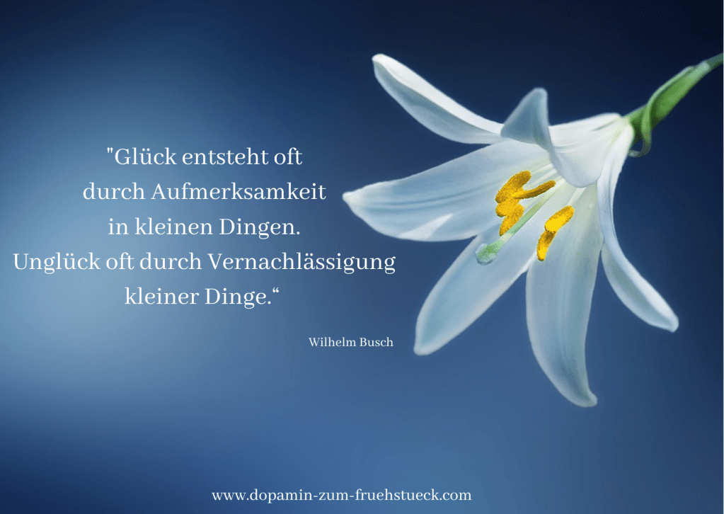 weiße Blume auf blauem Hintergrund