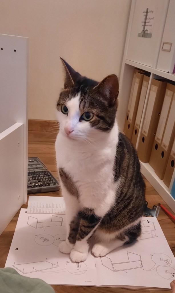 Eine schwarz- weiße Katze, die auf der Montageanleitung eines Schrankes steht.