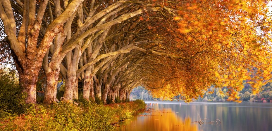 Ein See, an dessen Ufer bäume mit buntem Laub stehen