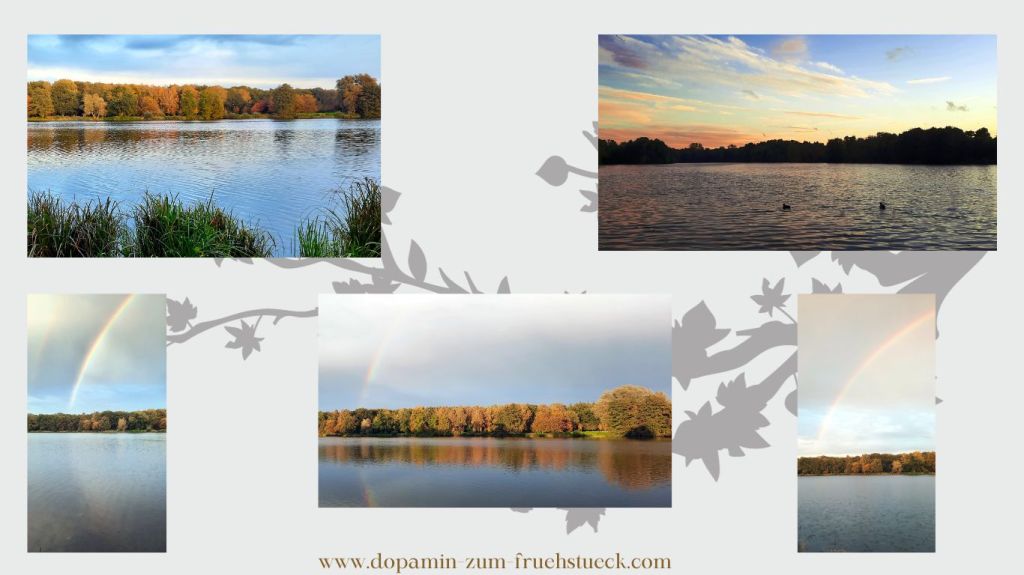 Eine Collage mit unterschiedlichen Bildern vom Rubbenbruchsee in Osnabrück.
Oben links: blauer See mit bunten Bäumen im Hintergrund
oben rechts: See mit Bäumen im Hintergrund im Sonnenuntergang
Alle Bilder unten: See mit Sonnenuntergang