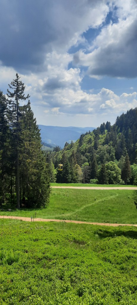 blauer Himmel mit grauen Wolken, links und rechts stehen Bäume und im Hintergrund sieht man die Kabine einer Seilbahn