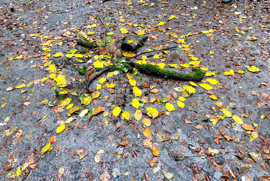 En Mandala gestaltet aus Naturmaterialien ( bunte Blätter, Äste und kleine Holzstämme mit Moos bewachsen)