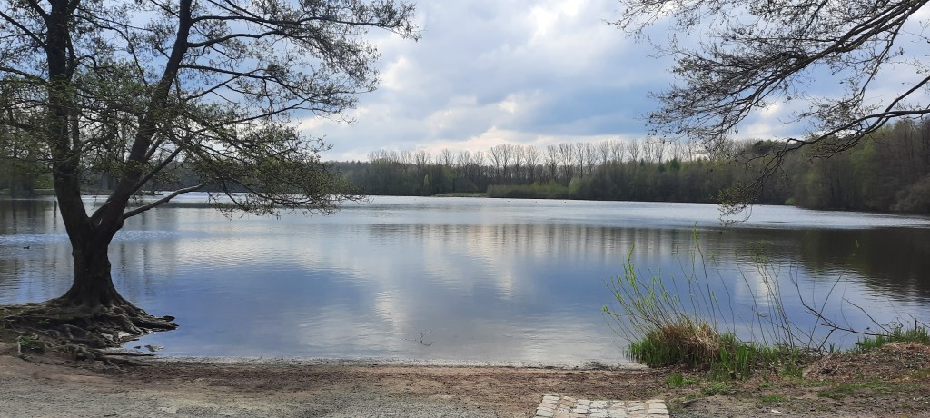 See bei blauem Himmel. Überall am und um den See stehen Bäume