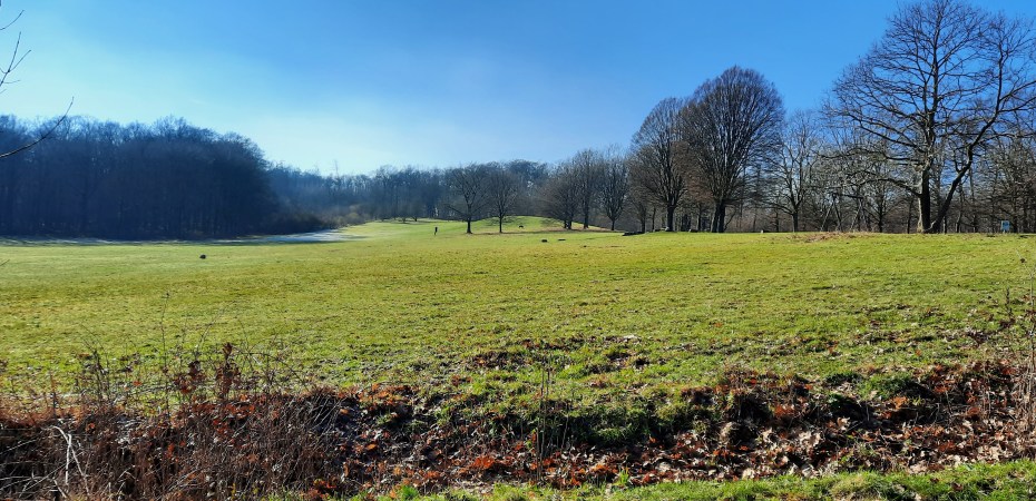 Ein Park. Im Vordergrund eine grüne Wiese. Im Hintergrund stehen vereinzelnd Bäume. Der Himmel ist blau