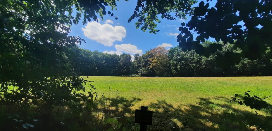 Eine Wiese; im Hintergrund erkennt man Bäume; der Himmel ist blau mit weißen Wolken