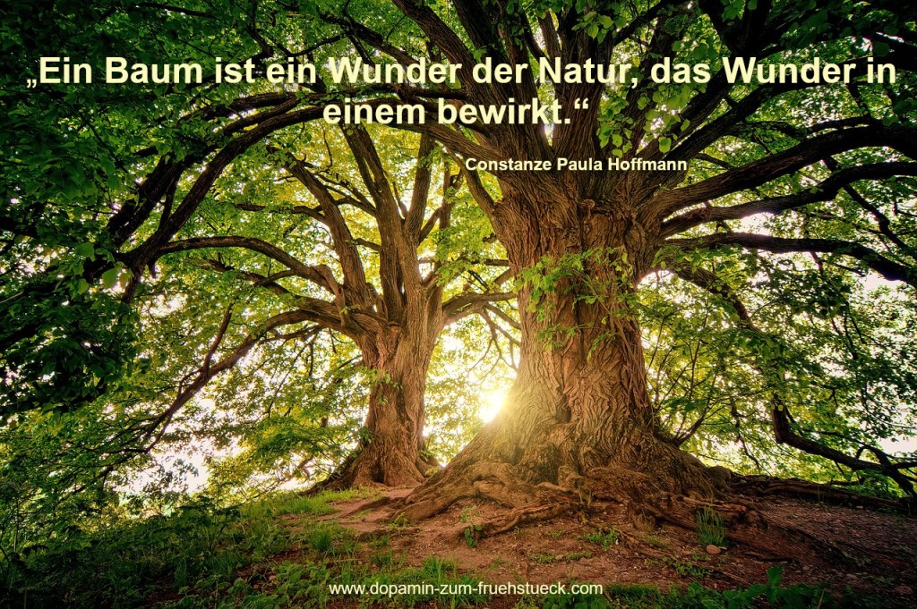 Zwei Bäume, die auf einer Anhöhe stehen