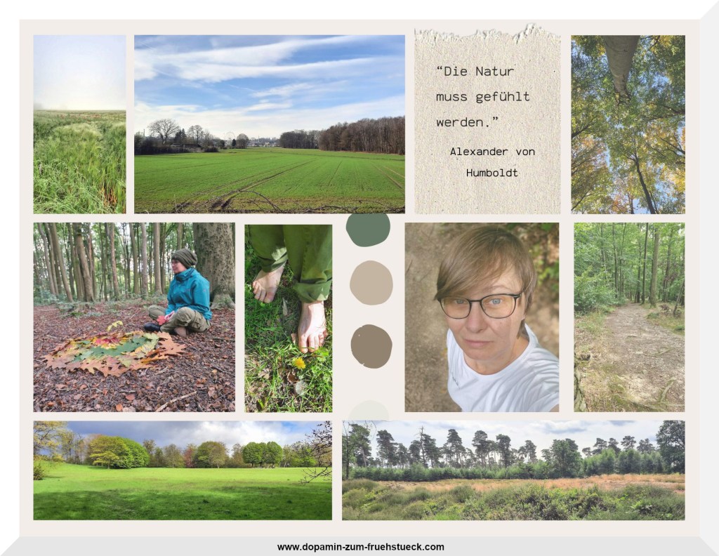 Collage aus 8 Naturbildern