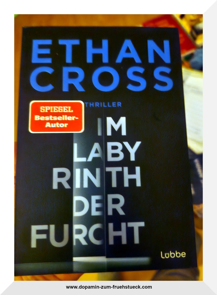 Foto des Buch- Covers: Im Labyrinth der Furcht von Ethan Cross
