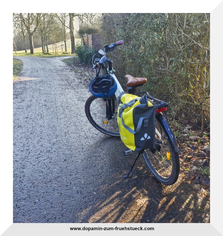 Ein Fahrrad mit Fahrradtasche steht auf einem spiegelglatten Weg