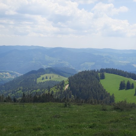 Eine grüne Berglandschaft mit Hügeln, Wiesen und Wäldern