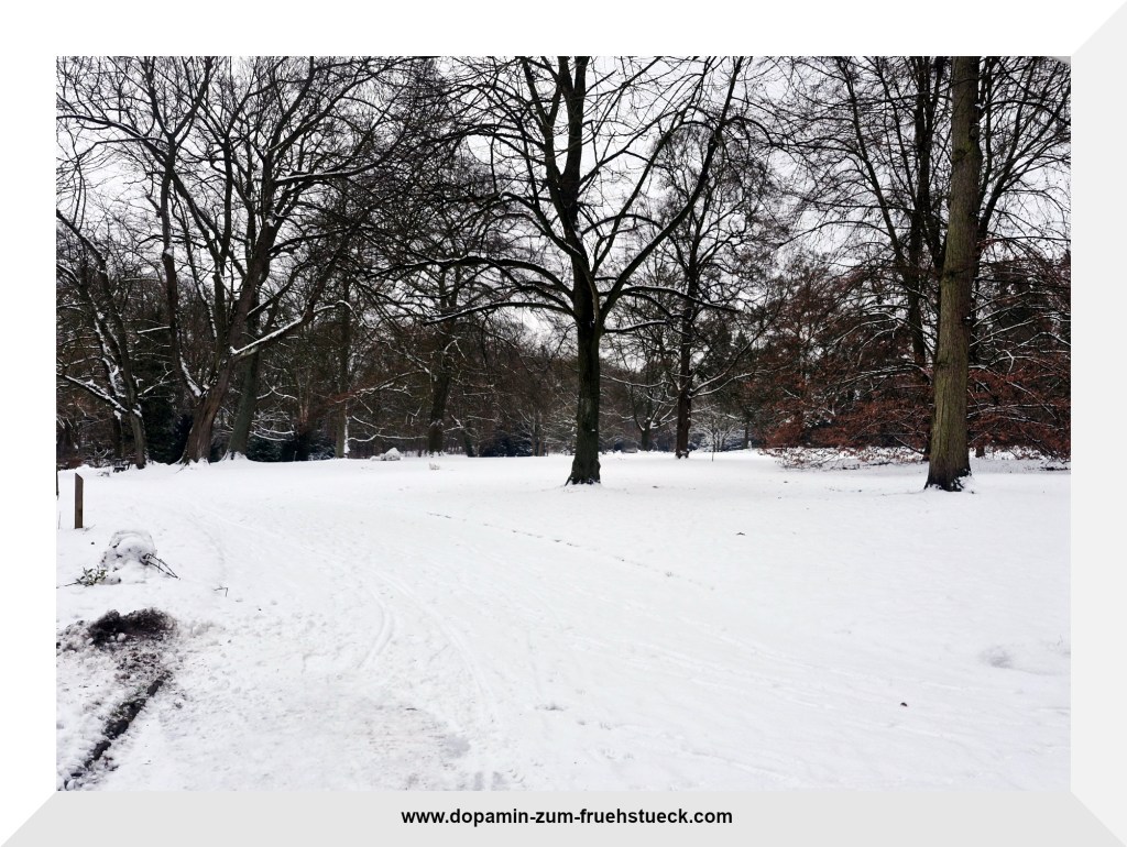 Eine verschneite Landschaft mit Bäumen