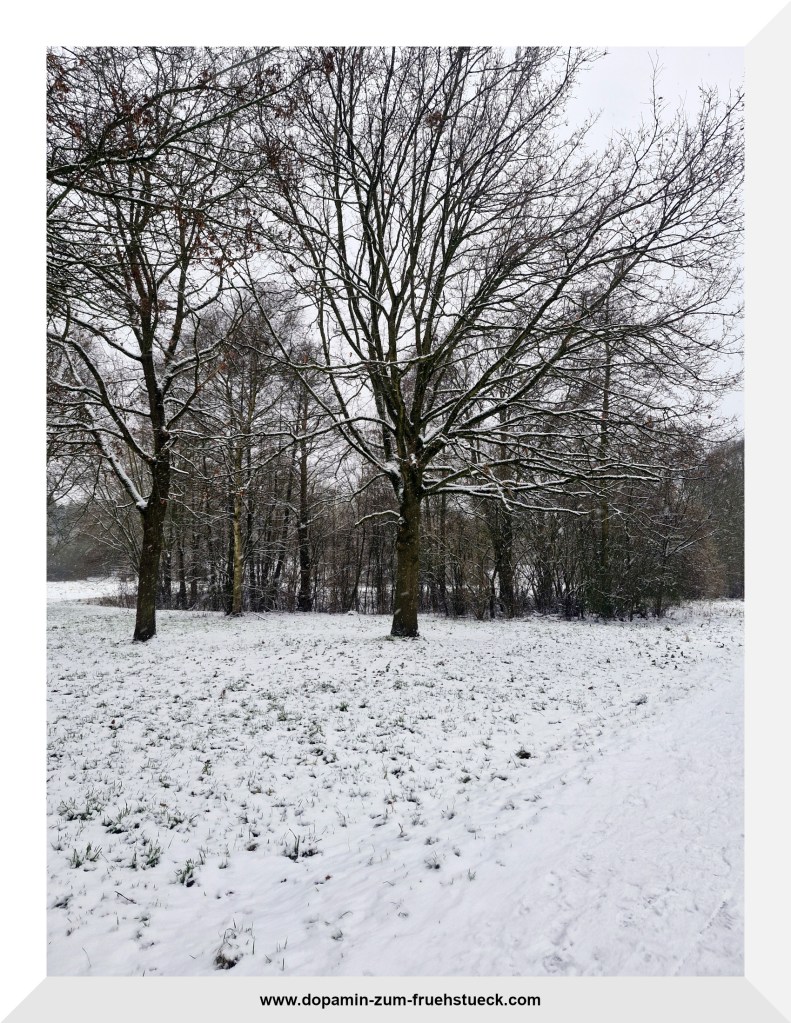 Winterliche Landschaft