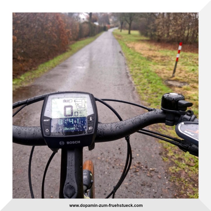 nasser Fahrradlenker im Vordergrund; man kann den Weg erkennen