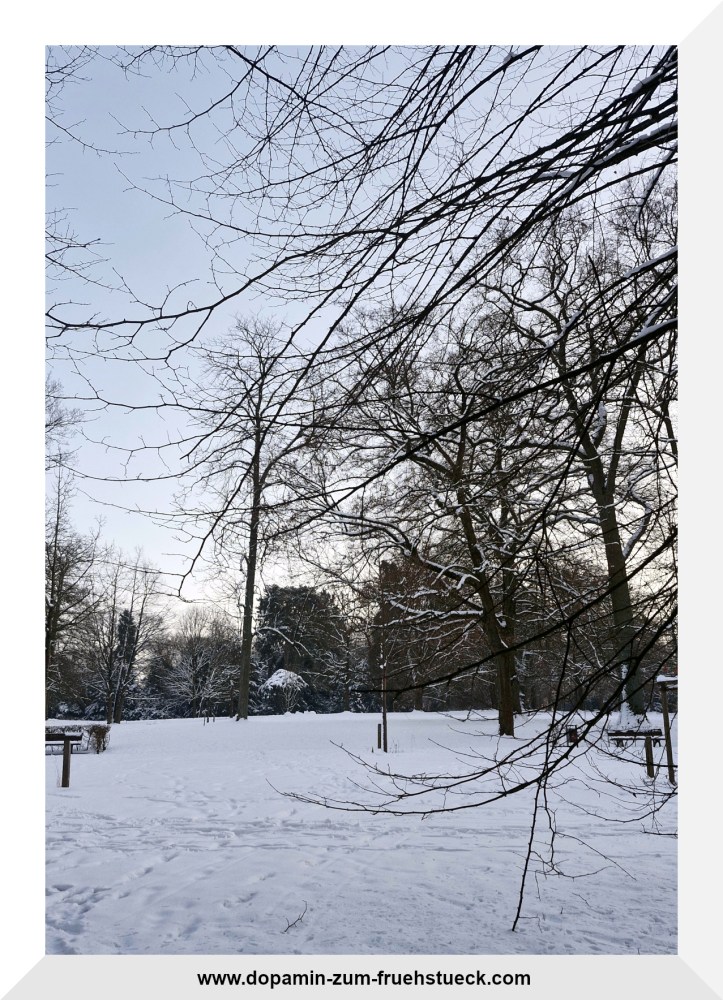 Schneelandschaft bei blauem Himmel
