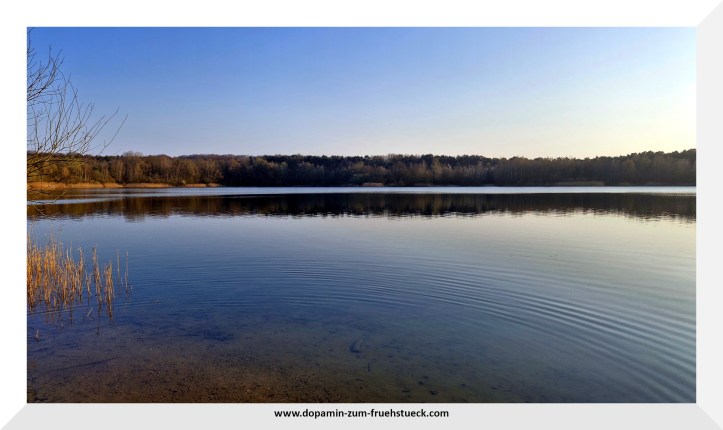 EIn See und blauer Himmel. Im Hintergrund des Bildes ist ein Wald zu sehen