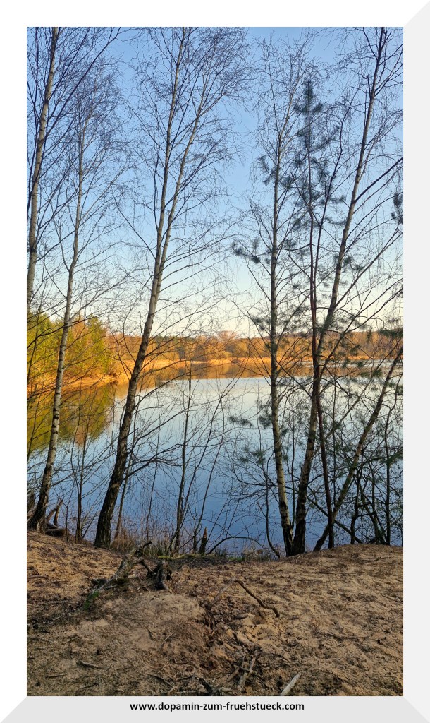 Ein See in einem Wald bei blauem Himmel
