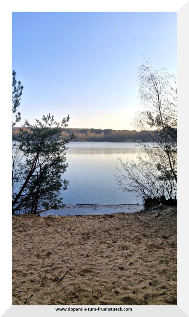 Ein See bei blauem Himmel. Im Hintergrund sind Bäume zu erkennen, im Vordergrund ein Strand