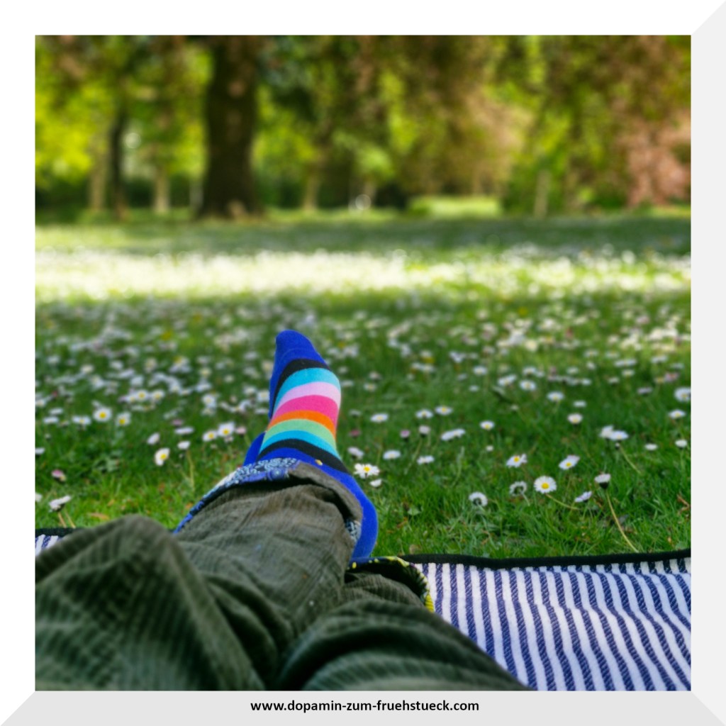 Man sieht auf dem Foto ein paar Füße (mit bunt- gestreiften Socken), die auf einer Picknickdecke auf einer Blumenwiese liegen