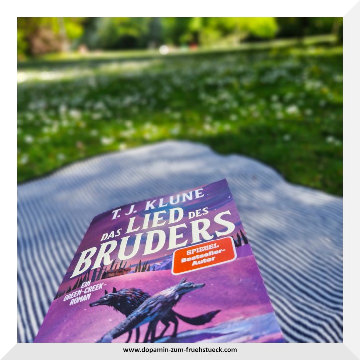 Das Buch "Das Lied des Bruders" auf einer gestreiften Picknickdecke, die auf einer Wiese liegt