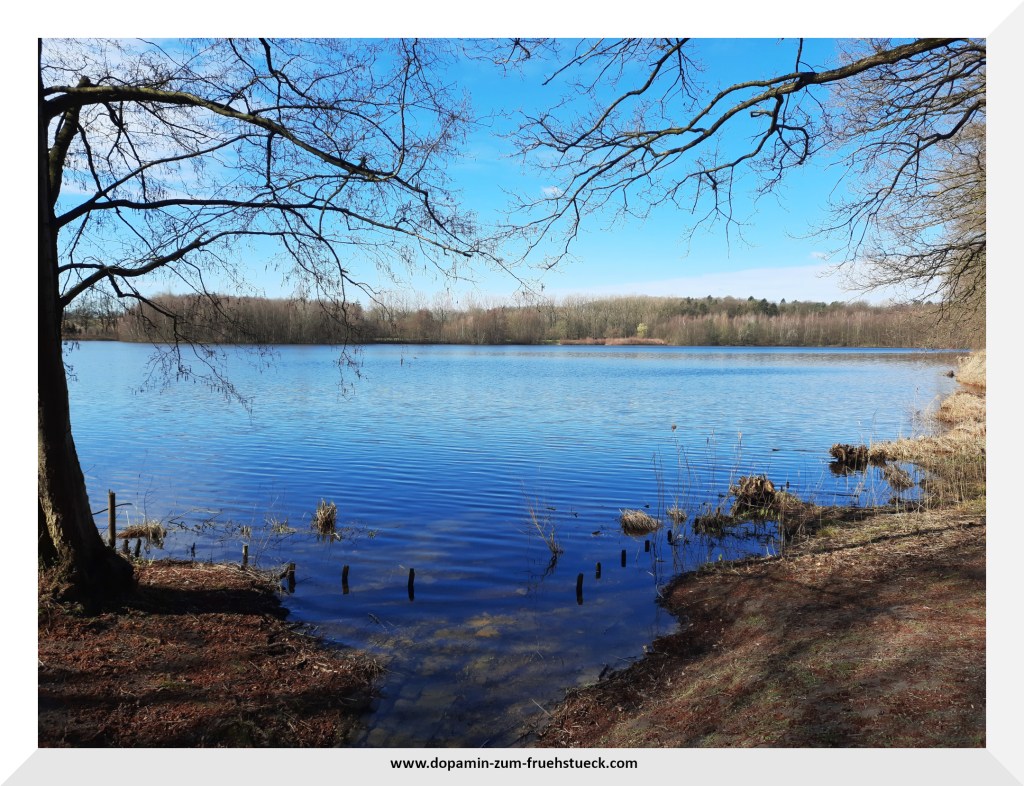 Ein See in der Natur bei blauem Himmel