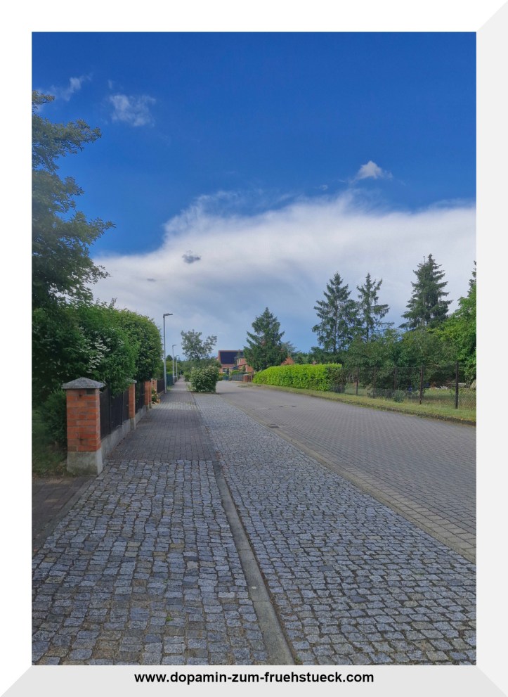 Eine Straße bei blauem Himmel. Man sieht links und rechts Büsche, Hecken und Bäume. Am Ende der Straße kann man ein paar Häuser sehen